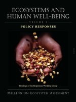 Tài liệu Ecosystems and Human Well-being: Policy Responses, Volume 3 docx
