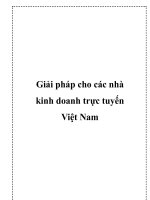 Tài liệu Giải pháp cho các nhà kinh doanh trực tuyến Việt Nam docx