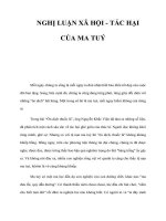 Tài liệu NGHỊ LUẬN XÃ HỘI - TÁC HẠI CỦA MA TUÝ pptx
