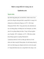 Tài liệu Bệnh u nang biểu bì ở mang của cá -Epitheliocystic ppt