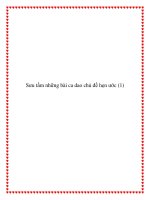 Tài liệu Sưu tầm những bài ca dao chủ đề nguyện ước pdf