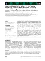 Tài liệu Báo cáo khoa học: ¨ Induction of Kruppel-like factor 4 by high-density lipoproteins promotes the expression of scavenger receptor class B type I pptx