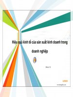 hiệu quả kinh tế của sản xuất kinh tế trong sxkd