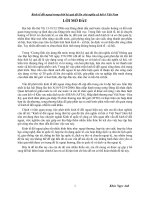 kinh tế đối ngoại trong thời kỳ quá độ lên chủ nghĩa xã hội ở việt nam