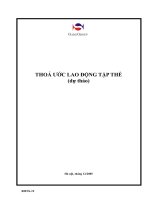 BMNS 19 (thoa uoc lao dong tap the)