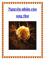 Tài liệu Nguyên nhân của ung thư potx