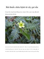 Tài liệu Bài thuốc chữa bệnh từ cây gai sầu pptx