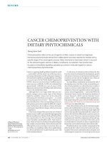 Tài liệu CANCER CHEMOPREVENTION WITH DIETARY PHYTOCHEMICALS doc