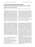 Tài liệu Báo cáo khoa học: Medium-chain dehydrogenases/reductases (MDR) Family characterizations including genome comparisons and active site modelling pdf