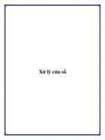 Tài liệu Xử lý cửa sổ doc