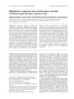 Tài liệu Báo cáo khóa học: UDPgalactose 4-epimerase from Saccharomyces cerevisiae A bifunctional enzyme with aldose 1-epimerase activity docx