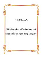 Giải pháp phát triển tín dụng xuất nhập khẩu tại Ngân hàng Đông Đô
