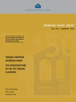 Tài liệu WORKING PAPER SERIES: TRADING EUROPEAN SOVEREIGN BONDS THE MICROSTRUCTURE OF THE MTS TRADING PLATFORMS docx