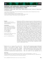 Tài liệu Báo cáo khoa học: Isolation and molecular characterization of a novel D-hydantoinase from Jannaschia sp. CCS1 docx