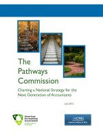 Tài liệu The Pathways Commission Charting a National Strategy for the Next Generation of Accountants pptx