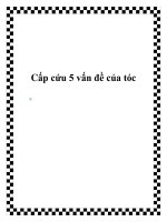 Tài liệu Cấp cứu 5 vấn đề của tóc pptx