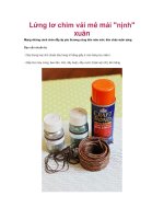 Tài liệu Lửng lơ chim vải mê mải 