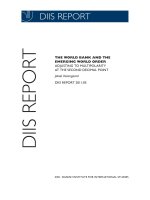 Tài liệu THE WORLD BANK AND THE EMERGING WORLD ORDER ADJUSTING TO MULTIPOLARITY AT THE SECOND DECIMAL POINT doc