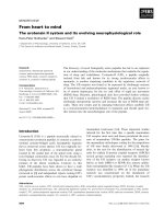 Tài liệu Báo cáo khoa học: From heart to mind The urotensin II system and its evolving neurophysiological role ppt