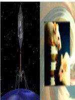 các phương pháp chuyển gene ở dộng vật