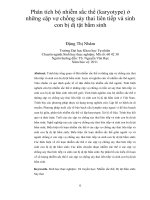 Phân tích bộ nhiễm sắc thể (karyotype) ở những cặp vợ chồng sảy thai liên tiếp và sinh con bị dị tật bẩm sinh