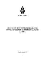Tài liệu SURVEY ON HOW COMMERCIAL BANKS DETERMINE LENDING INTEREST RATES IN ZAMBIA docx
