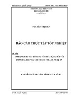 MỞ RỘNG CHO VAY BỔ SUNG VỐN LƯU ĐỘNG ĐỐI VỚI DOANH NGHIỆP TẠI CHI NHÁNH VPBANK NGHỆ AN