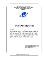 Tài liệu ĐỀ TÀI: GIẢI PHÁP PHÁT TRIỂN DỊCH VỤ KHÁCH HÀNG CAO CẤP TẠI NGÂN HÀNG TMCP VIỆT NAM THỊNH VƯỢNG CHI NHÁNH SÀI GÒN, PHÒNG GIAO DỊCH PHÚ LÂM pptx