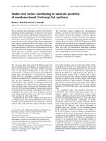 Tài liệu Báo cáo Y học: Studies into factors contributing to substrate speciﬁcity of membrane-bound 3-ketoacyl-CoA synthases pot