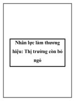 Tài liệu Nhân lực làm thương hiệu: Thị trường còn bỏ ngỏ pdf