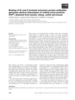 Tài liệu Báo cáo khoa học: Binding of N- and C-terminal anti-prion protein antibodies generates distinct phenotypes of cellular prion proteins (PrPC) obtained from human, sheep, cattle and mouse doc