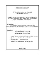 ngành hàng rau ở vùng đồng bằng sông hồng