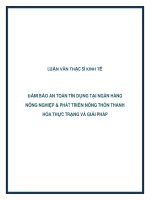 Tài liệu LUẬN VĂN THẠC SĨ: ĐẢM BẢO AN TOÀN TÍN DỤNG TẠI NGÂN HÀNG NÔNG NGHIỆP & PHÁT TRIỂN NÔNG THÔN THANH HÓA THỰC TRẠNG VÀ GIẢI PHÁP doc