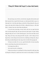 Tài liệu Thuyết Minh thể loại Ca dao hài hước pptx