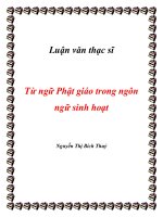 Tài liệu Luận văn thạc sĩ 