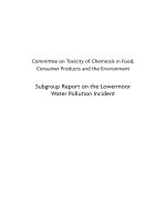Tài liệu Committee on Toxicity of Chemicals in Food, Consumer Products and the Environment - Subgroup Report on the Lowermoor Water Pollution Incident pdf