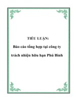 Tài liệu TIỂU LUẬN: Báo cáo tổng hợp tại công ty trách nhiện hữu hạn Phú Bình docx