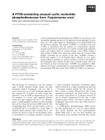 Tài liệu Báo cáo khoa học: A FYVE-containing unusual cyclic nucleotide phosphodiesterase from Trypanosoma cruzi docx