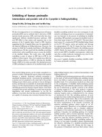 Tài liệu Báo cáo khoa học: Unfolding of human proinsulin Intermediates and possible role of its C-peptide in folding/unfolding pptx