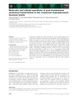 Tài liệu Báo cáo khoa học: Molecular and cellular speciﬁcity of post-translational aminoacyl isomerization in the crustacean hyperglycaemic hormone family docx