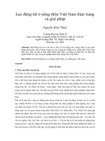 Lao động nữ ở nông thôn việt nam thực trạng và giải pháp