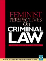 Tài liệu FEMINIST PERSPECTIVES ON CRIMINAL LAW docx