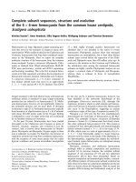 Tài liệu Báo cáo khoa học: Complete subunit sequences, structure and evolution of the 6 · 6-mer hemocyanin from the common house centipede, Scutigera coleoptrata pptx