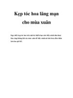 kep toc hoa lang man