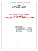 Tài liệu Tiểu luận:CHIẾN DỊCH TUNG SẢN PHẨM NƯỚC MẮM TÁM PHÚ VÀO THỊ TRƯỜNG THÀNH PHỐ HỒ CHÍ MINH pdf