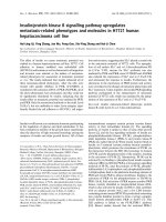 Tài liệu Báo cáo khoa học: Insulin/protein kinase B signalling pathway upregulates metastasis-related phenotypes and molecules in H7721 human hepatocarcinoma cell line pptx