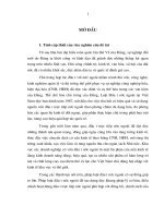 sự hình thành và phát triển của luật đầu tư nước ngoài trong hệ thống pháp luật việt nam