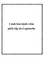 Tài liệu Cảnh báo bệnh viêm phổi cấp do Legionella docx