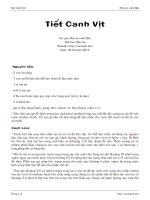 Tài liệu Tiết Canh Vịt pptx