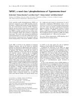 Tài liệu Báo cáo khóa học: TbPDE1, a novel class I phosphodiesterase of Trypanosoma brucei pdf